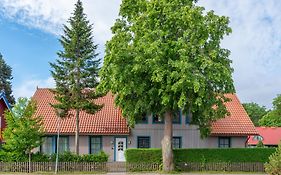 Egidijaus Vila